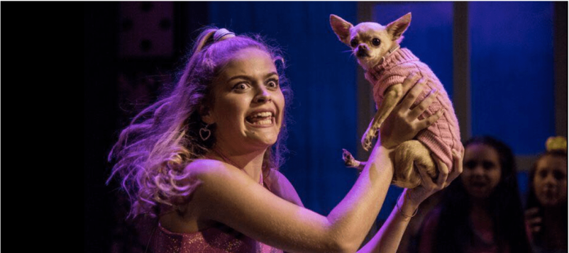 Bruiser on stage
